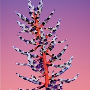 Meet your Posher, Cody